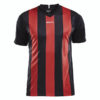 Craft-Progress-Jersey-Stripe-Men-F-miesten-urheilupaita-black-bright-red