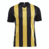 Craft-Progress-Jersey-Stripe-Men-F-miesten-urheilupaita-black-sweden-yellow