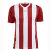 Craft-Progress-Jersey-Stripe-Men-F-miesten-urheilupaita-bright-red-white