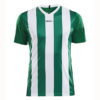 Craft-Progress-Jersey-Stripe-Men-F-miesten-urheilupaita-team-green-white