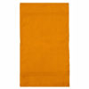https://tiimipaita.fi/wp-content/uploads/2021/01/Jassz-Rhine-Guest-Towel-pyyhe-Orange.jpg